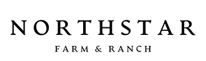 NorthStar Realty Logo
